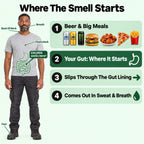 Where the smell starts: beer and big meals, the gut, the gut lining, sweat and breath